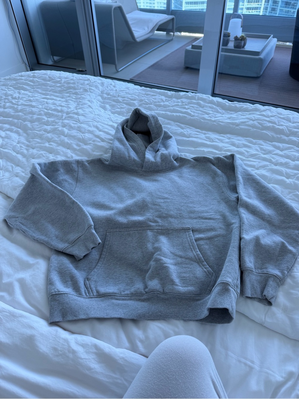 Aritzia Perfect Sweatfleece Cozy Fleece Hooded Sweatshirt